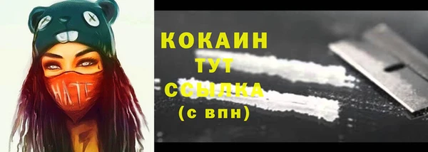 гашик Бородино