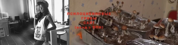 МДПВ Бронницы