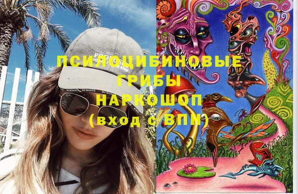 МДПВ Бронницы