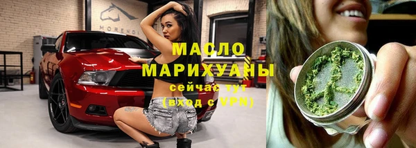 гашик Бородино