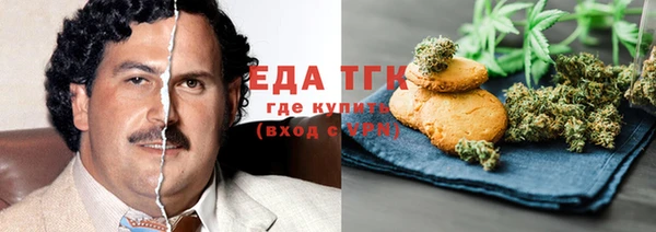 гашик Бородино