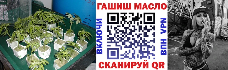 OMG   Разумное  ТГК концентрат 